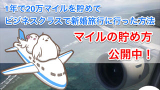 陸マイラー