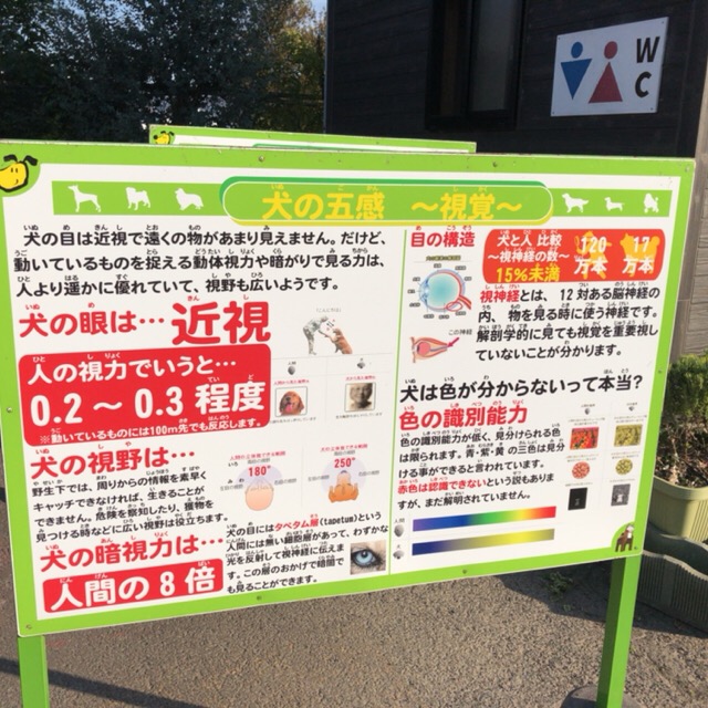 犬に関する豆知識