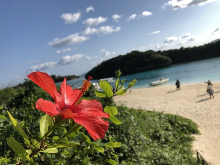 川平湾とハイビスカス