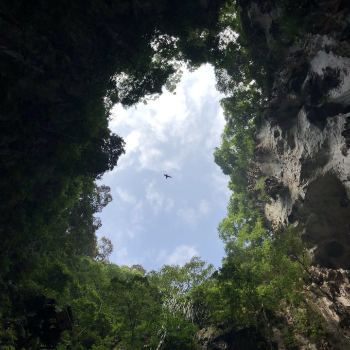 バトゥ洞窟の天窓