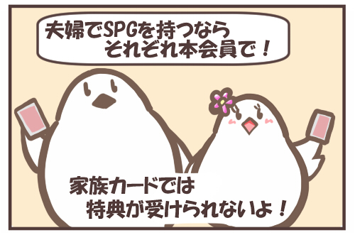 SPGは本会員で