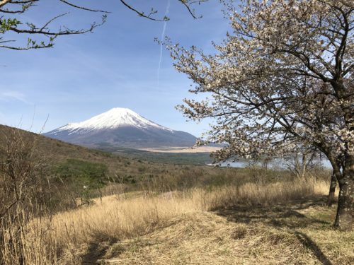 パノラマ台からの景色（マリオットから車で10分）