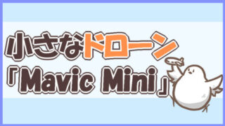 小さなドローンMavic Mini