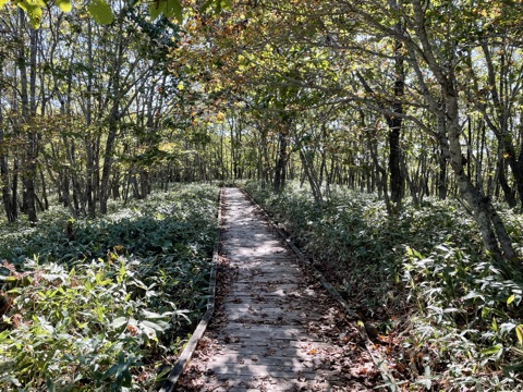 釧路市湿原展望台の遊歩道