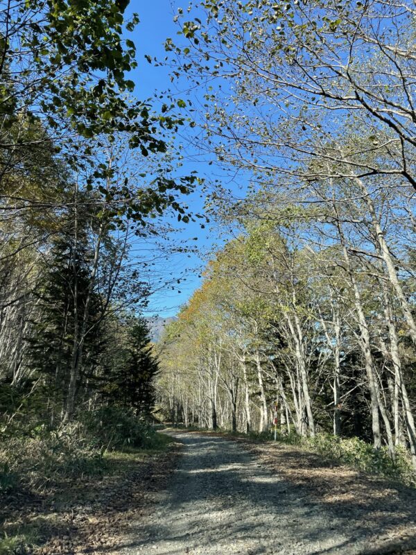 阿寒公園鶴居線（道道1093）