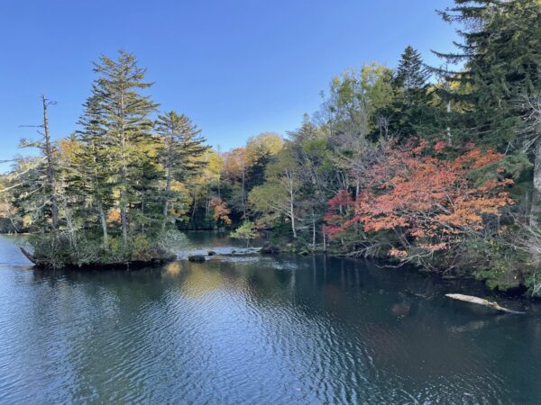 遊覧船から見た阿寒湖の紅葉