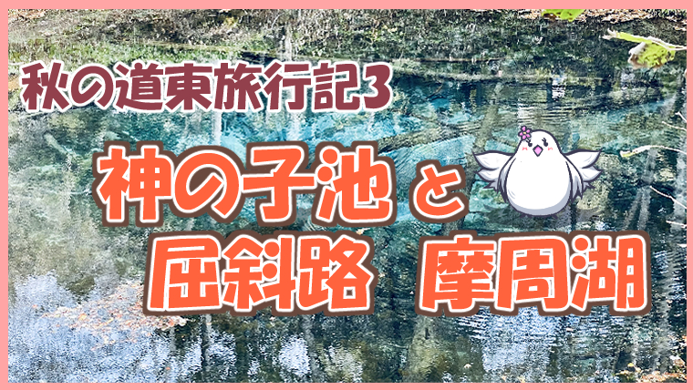 雲海を見に早起きして屈斜路湖と摩周湖へ！神の子池にも！～秋の道東 ...