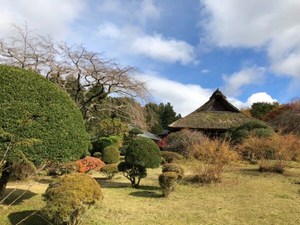 秩父宮記念公園