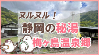 静岡の秘湯　梅ヶ島温泉郷